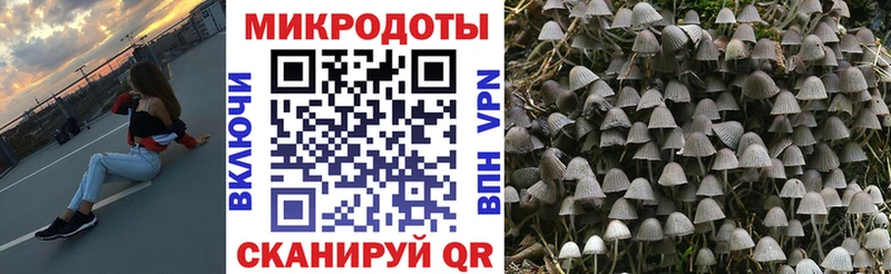 закладки  blacksprut ONION  Псилоцибиновые грибы Cubensis  Заозёрск 