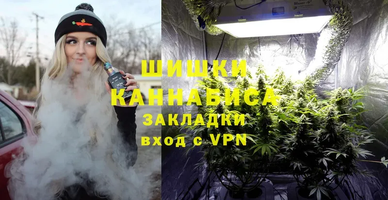 Бошки марихуана SATIVA & INDICA  MEGA сайт  Заозёрск 